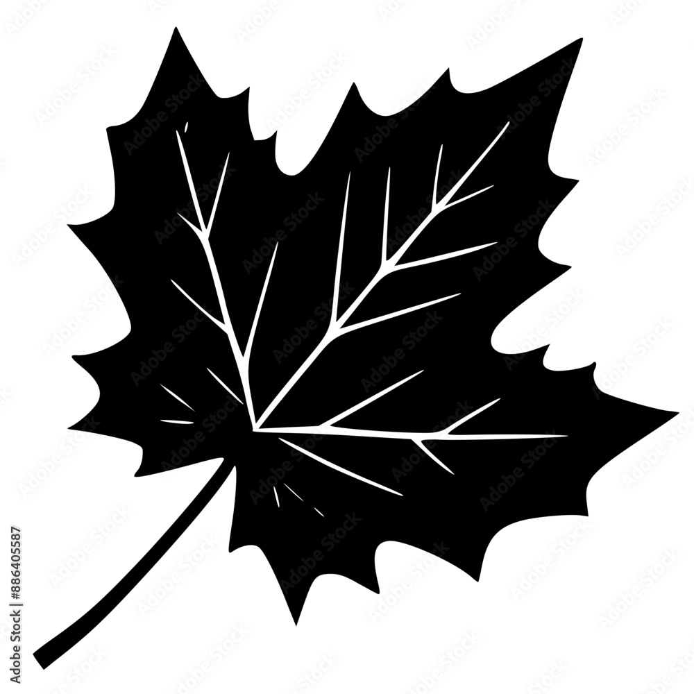 Fototapeta premium maple leaf icon