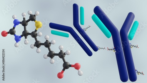 Canvastavla 3D rendering of biotinylated antibody, an engineered protein designed to bind to specific molecules