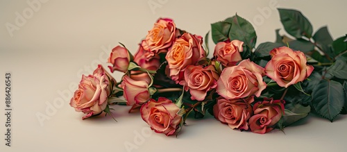 A lovely bouquet of roses r...
