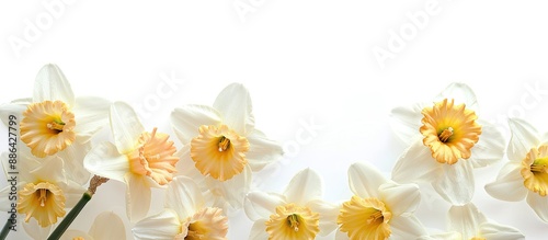 White background featuring ...