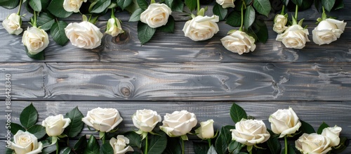 White roses displayed on a ...