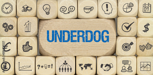 Obraz na płótnie Underdog