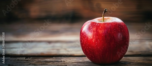 A detailed focused image of...