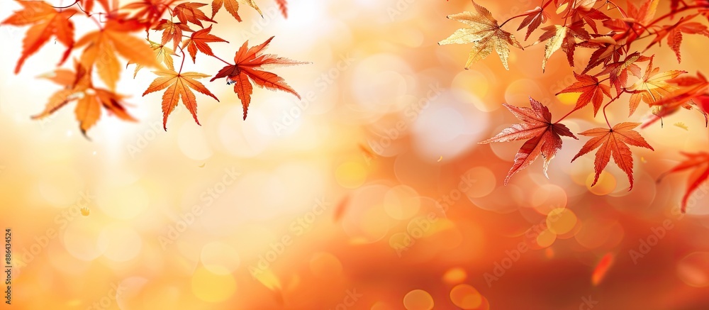 Maple tree leaves in vivid autumn hues with a blurred fall background offering copy space for text ideal for holiday themes Depicting the essence of fall and autumn season Maple tree leaves in vivid autumn hues with a blurred fall background offering copy space for text ideal for holiday themes Depicting the essence of fall and autumn season