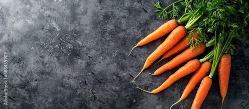 A bunch of fresh carrots on...
