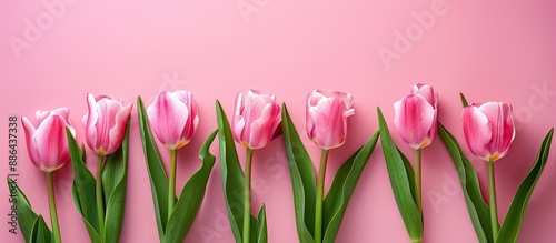 A bunch of pink tulips arra...