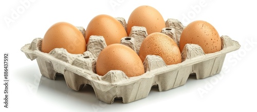 Organic egg pack in a four ...