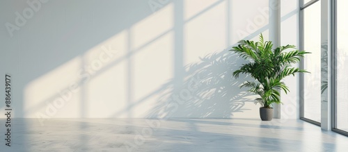 Interior with a white wall ...