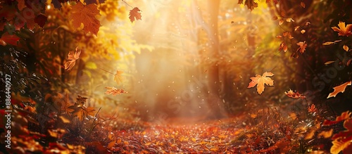 Fall themed backdrop with copy space image