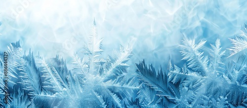 Copy space image of frost p...