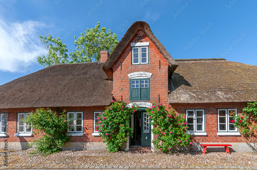 Traditionelles Friesenhaus mit Backsteinfassade, Reetdach und Rosenranken auf der Nordseeinsel Föhr Traditionelles Friesenhaus mit Backsteinfassade, Reetdach und Rosenranken auf der Nordseeinsel Föhr