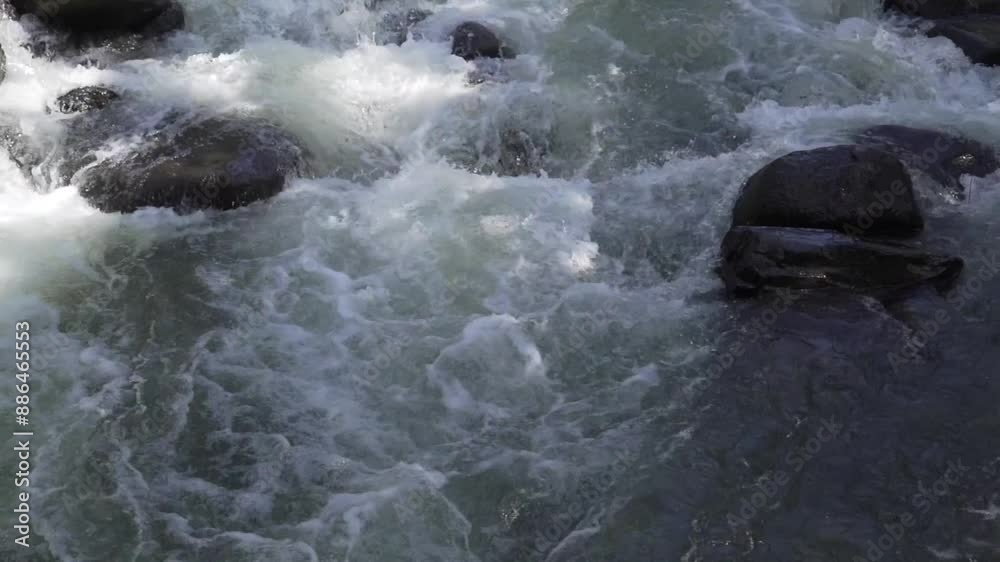 Tropical stream river in the jungle of Thailand full hd slow motion Tropical stream river in the jungle of Thailand full hd slow motion