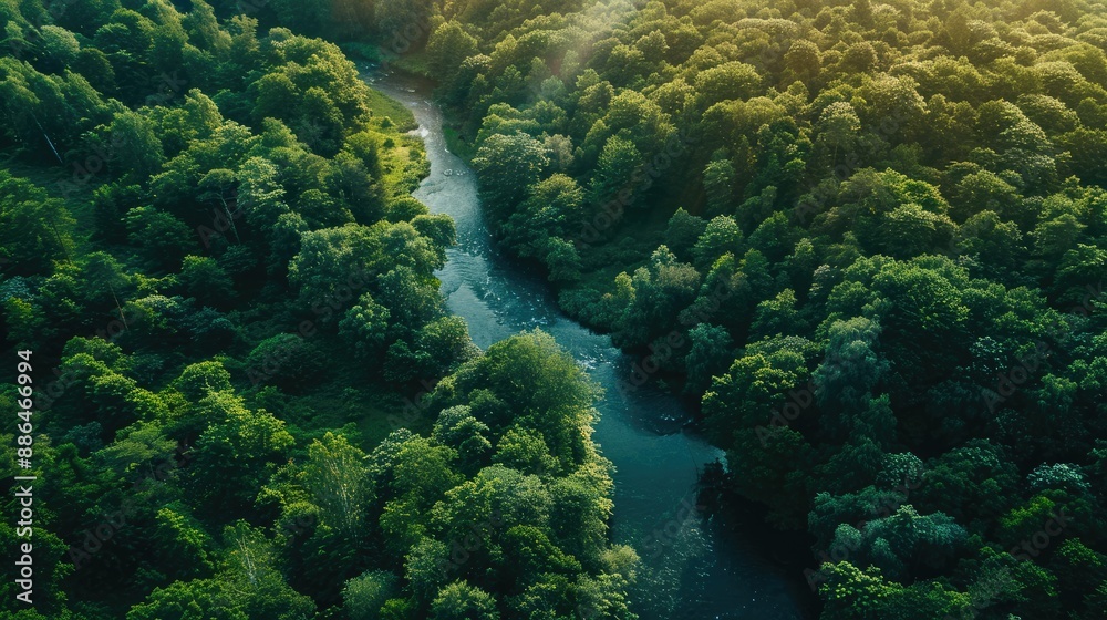 Fototapeta premium Aerial View of a Winding River Through Lush Green Forest