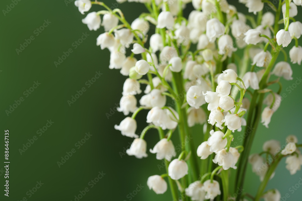 Beautiful lily of the valley flowers on blurred green background, closeup. Space for text