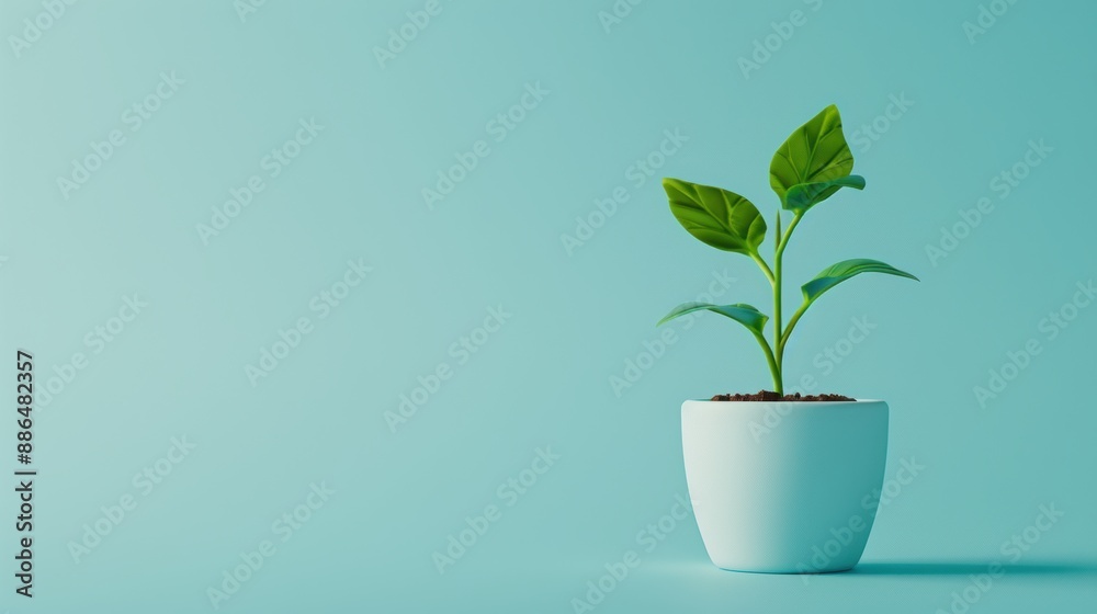 An artistic interpretation of business growth, featuring a blossoming plant against a minimalist background. The image conveys the idea of prosperity and development, with space for custom text or