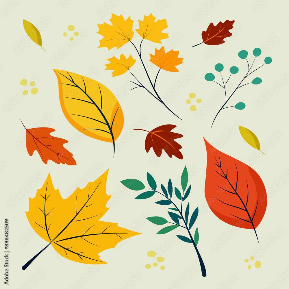 Hand drawn autumn leaves collection Hand drawn autumn leaves collection