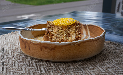 Honey cake, medovik layered dessert, sponge honey biscuit piece with white cream, gingerbread cut closeup photo