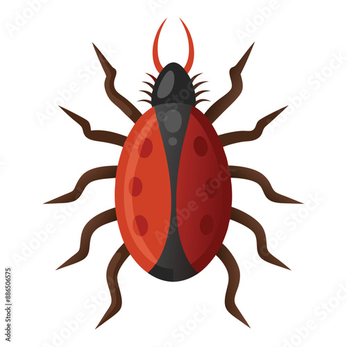 Illustration of  castor bean tick  Isolated