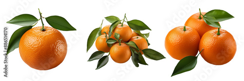 tangerines isolated on transparent background