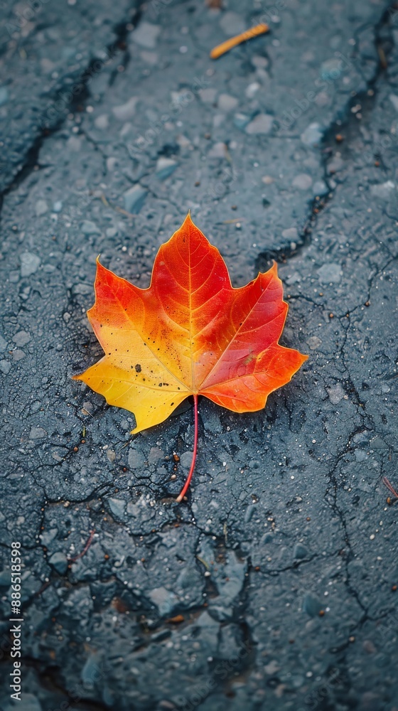 autumn leaf on the ground, vertical autumn leaf on the ground, vertical
