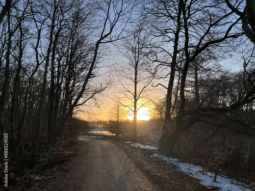 sunset in the park