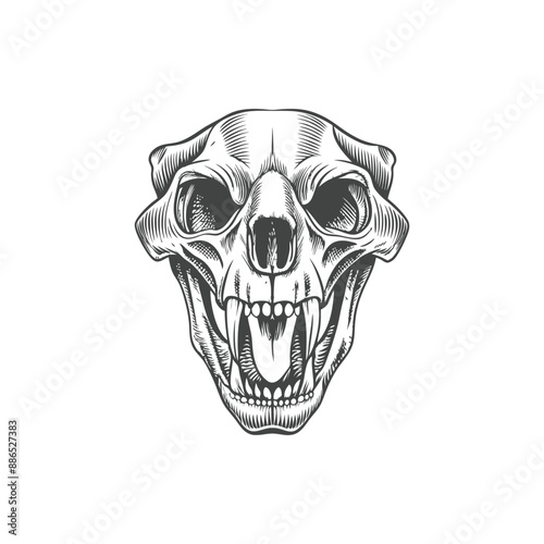 wolf head skull engraving hand drawn illustration vector