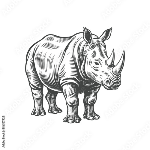 rhino vintage engraving hand drawn illustration vector