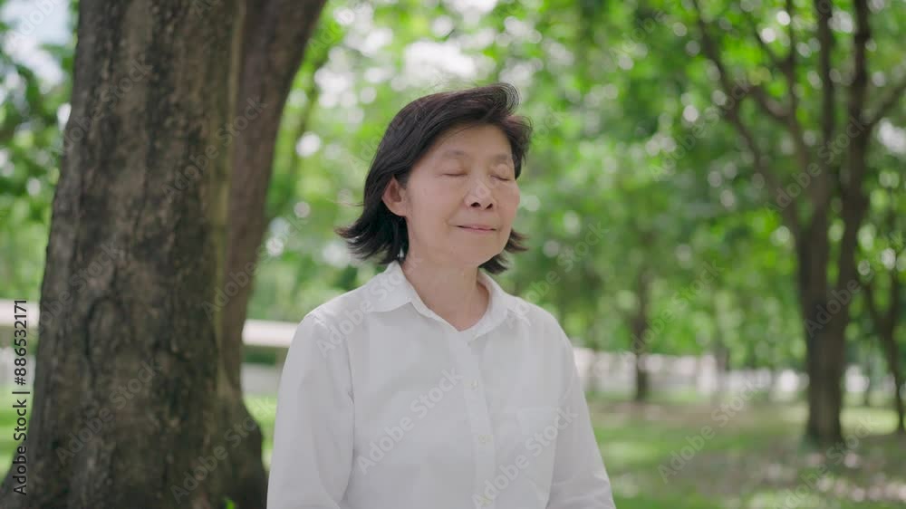 Close-up of hands in meditation pose with right hand resting on left hand of Asian elderly woman or healthy elderly woman meditating with eyes closed, smiling slightly in summer nature park. Close-up of hands in meditation pose with right hand resting on left hand of Asian elderly woman or healthy elderly woman meditating with eyes closed, smiling slightly in summer nature park.