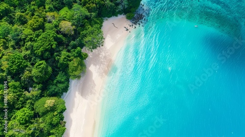 Aerial view of a tropical beach with turquoise water and lush green forest meeting a pristine white sand beach