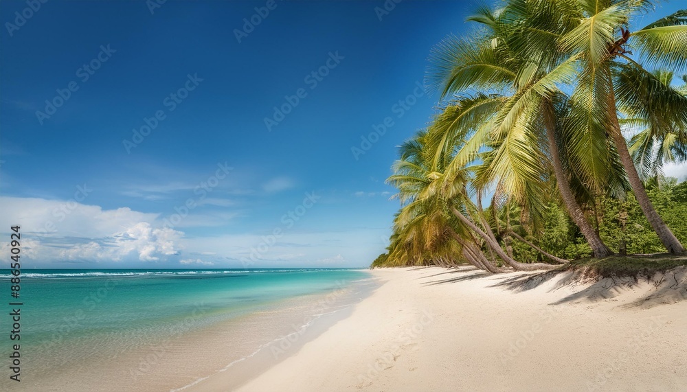 Trees On The Beach 16:9 Trees On The Beach 16:9