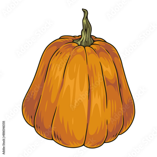 Organic pumpkin detailed element colorful