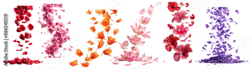 Flower Petals A beautiful collection of floating flower petals in various colors including red, pink, orange, and purple,  cut out dicut PNG on transparent photo