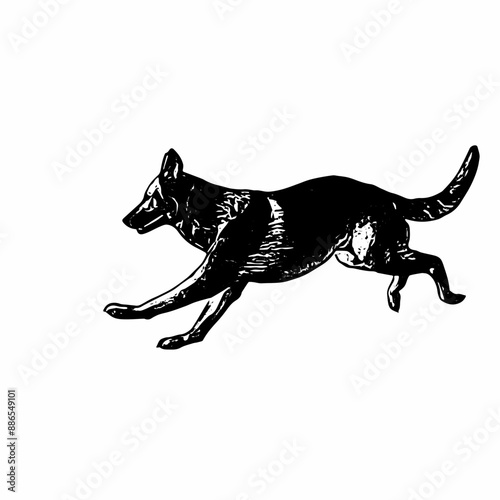 Realistic dog vector ilustration design 