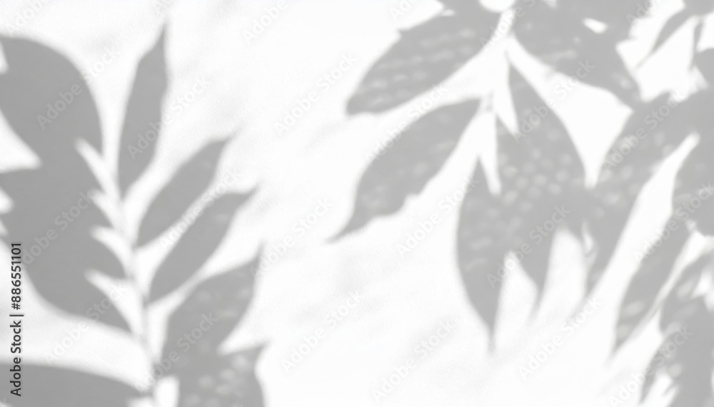 abstract shadow of leaves on a white wall overlay effect for photo mock up product wall art design presentation abstract shadow of leaves on a white wall overlay effect for photo mock up product wall art design presentation