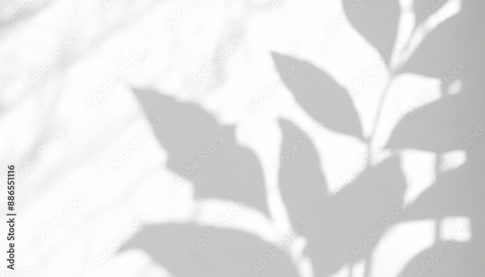 abstract shadow of leaves on a white wall overlay effect for photo mock up product wall art design presentation abstract shadow of leaves on a white wall overlay effect for photo mock up product wall art design presentation