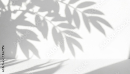 abstract shadow of leaves on a white wall overlay effect for photo mock up product wall art design presentation