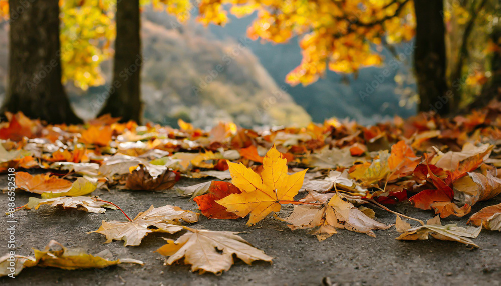 web banner design for autumn season and end year activity with red and yellow maple leaves with soft focus light and bokeh background web banner design for autumn season and end year activity with red and yellow maple leaves with soft focus light and bokeh background