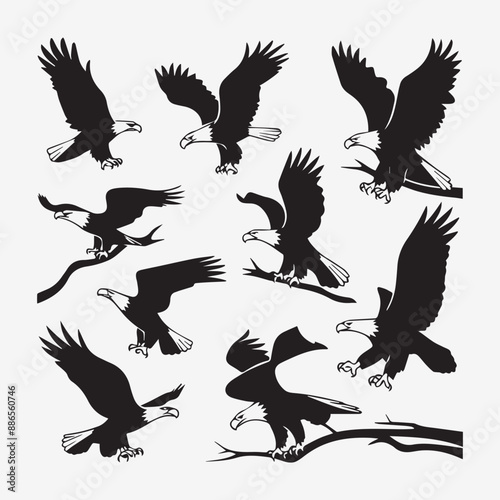 High-Quality Eagle Bird Vector Silhouette: Free & Premium Downloads for Your Projects photo