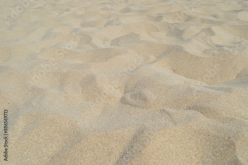 Photo of nature fine beach sand