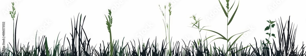 Fototapeta premium This is a set of grass blades drawn by hand. It is not stock. This is a modern illustration.