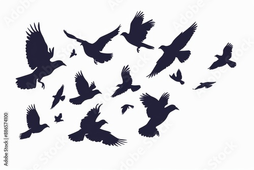 A modern illustration of flying birds on a white background. The outline of an individual bird is in flight. An illustration for a tattoo. photo