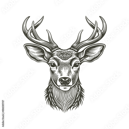 vintage deer head engraving hand drawn illustration vector photo