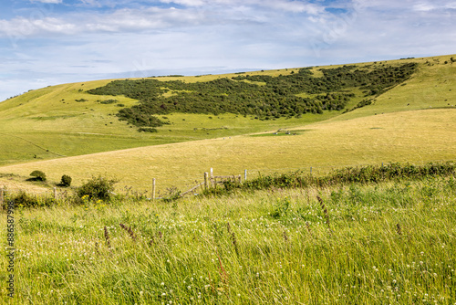 A South Downs view of fields and hills on a sunny July day