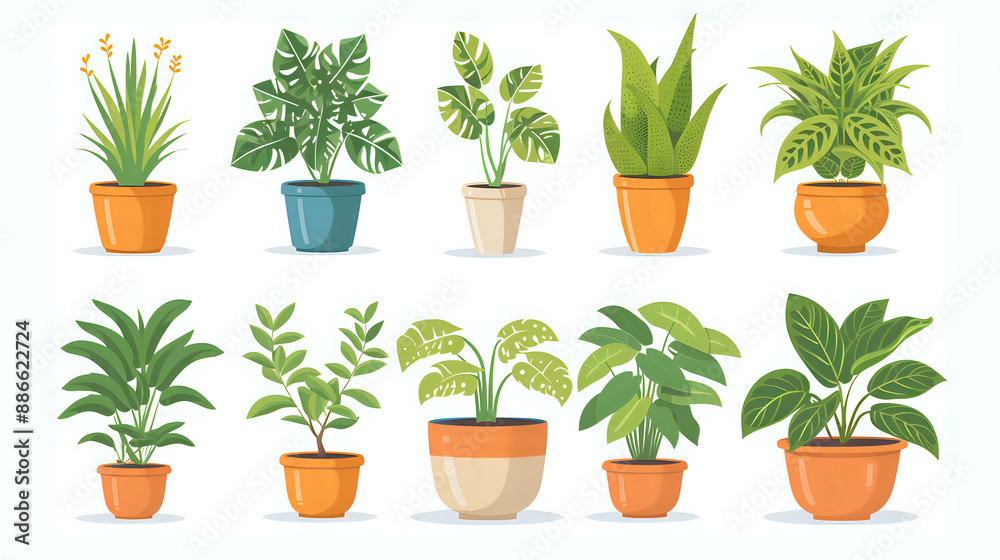 Diverse array of potted plants like palm tree, fern, and cactus, displayed against white backdrop