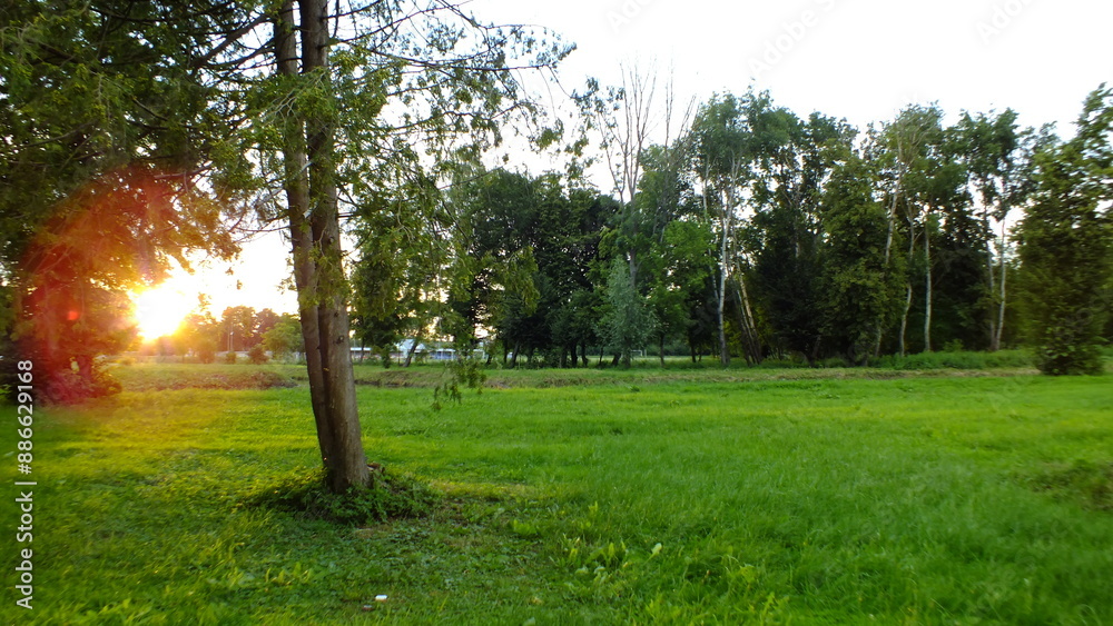 Obraz premium sunset in the park