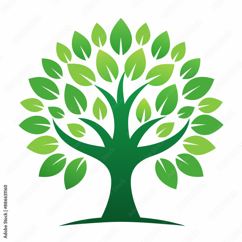 set of maple trees of life vector illustration set of maple trees of life vector illustration
