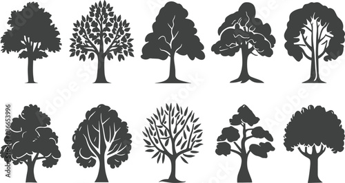  Create some verious  trees  vector set icons silhouettes styel with white background photo