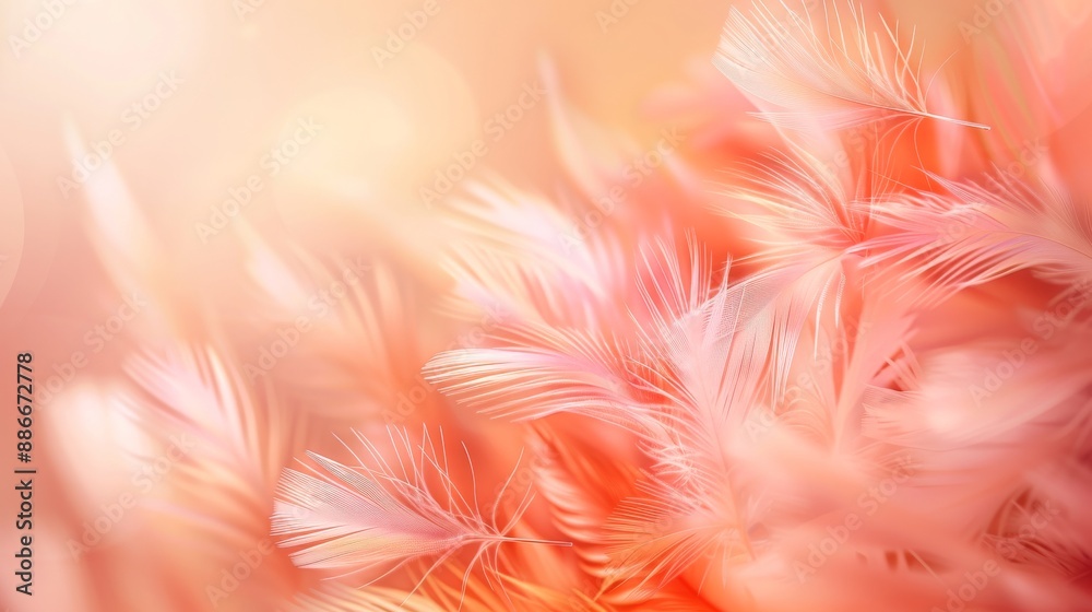 Soft Feathers Background: Peach Fuzz and Pink Colors - Blurred Gentle Visual
