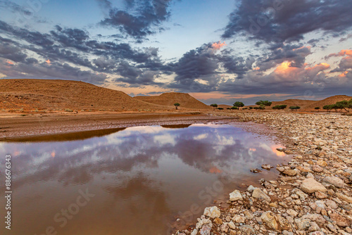 Desert landscape after rain, Saudi Arabia