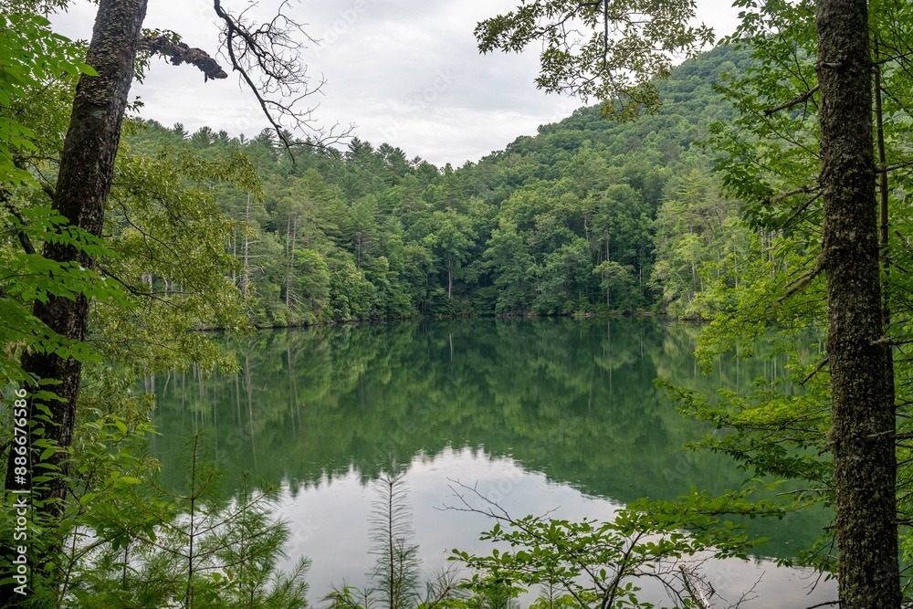 Fototapeta premium lake in summer with greenery